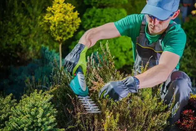 landscaping services Amelia